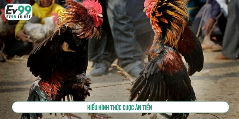 Mẹo Đá Gà EV99 Luôn Thắng - Chinh Phục Mọi Trường Đấu Hiểu hình thức cược ăn tiền