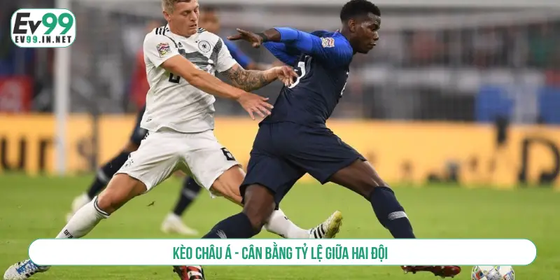 Tổng Hợp Các Kèo Cá Cược Thể Thao Hiểu Đúng Thắng Lớn Kèo châu Á - Cân bằng tỷ lệ giữa hai đội